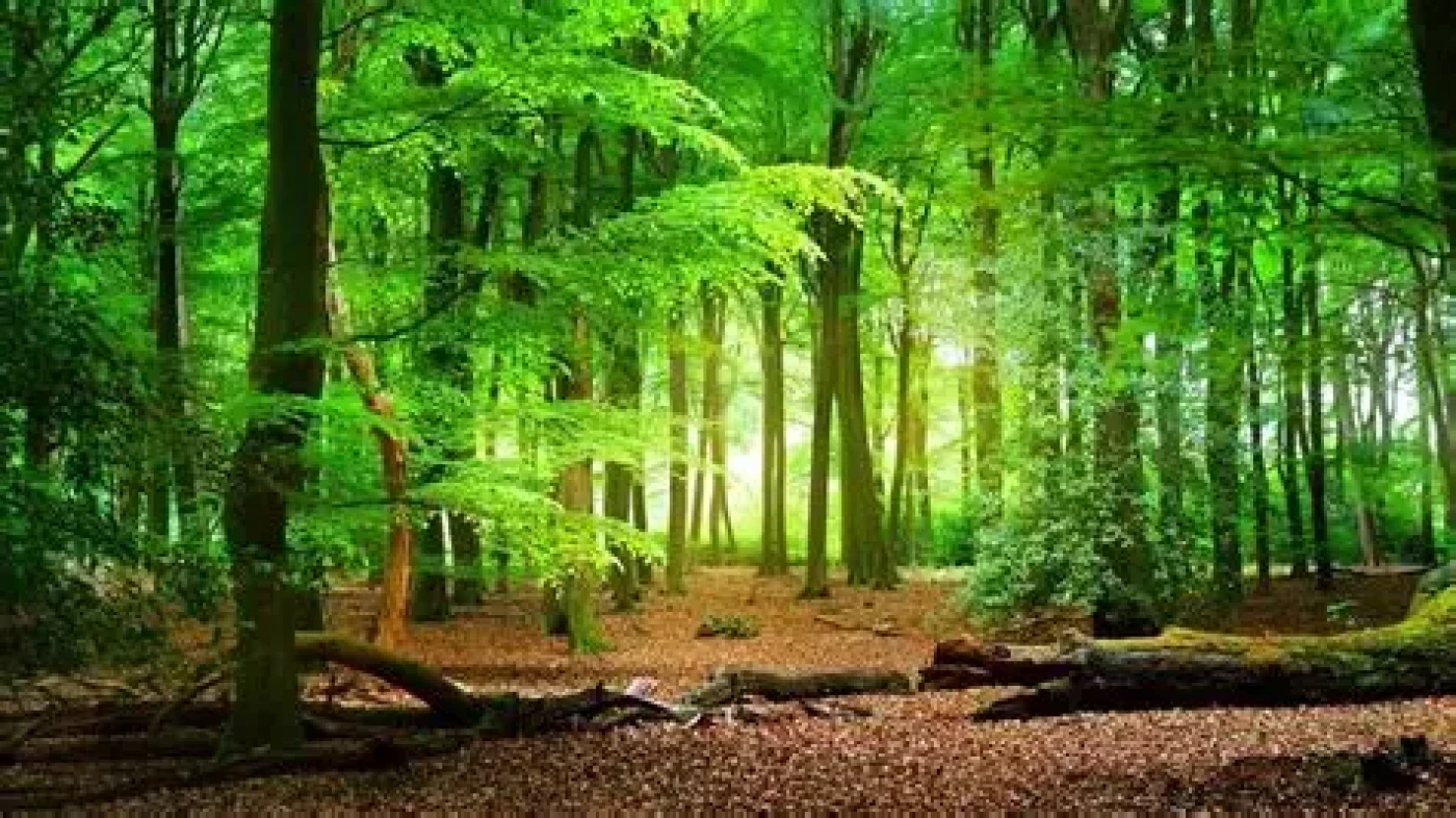 Documentaire: Natuur houdt zich niet aan natuurbehoud